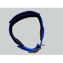 Fornecimento de alta qualidade Pet Dog Collar (HN-CL590)